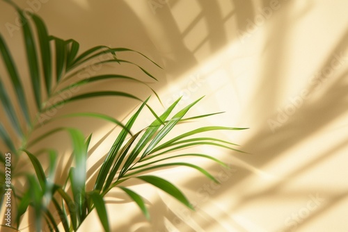 An illustration of tropical palm tree leaves on a beige background. Flat lay, copy space.