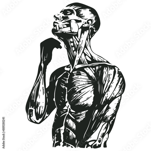 A detailed black and white anatomical illustration of a muscular figure in a thoughtful pose, vector illustration.