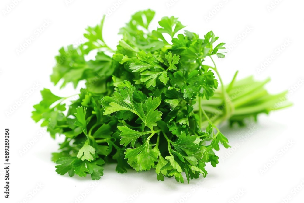 Parsley Seed. Closeup of Agricultural Group of Dry Seeds on White Background Parsley Seed. Closeup of Agricultural Group of Dry Seeds on White Background