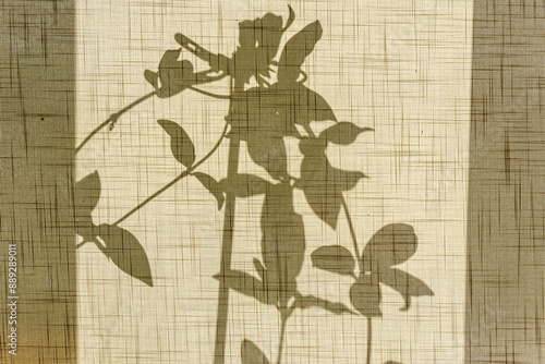 shadow play on the fabric, the shadow of the plant shines on the curtain, abstract