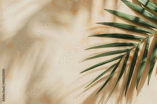 Tropical palm leaves on a beige background. A flat lay, copy space, top view of a summer fashion concept.