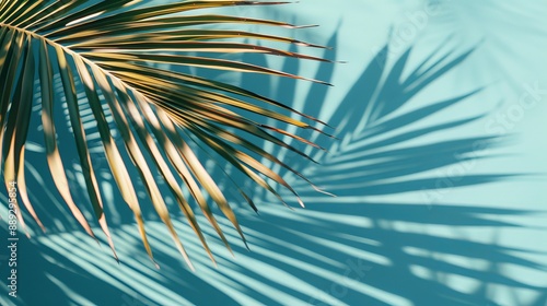 A tropical palm leaf with shadow on a blue background, along with a minimal nature summer styled flat lay, with a copy space for text at the bottom