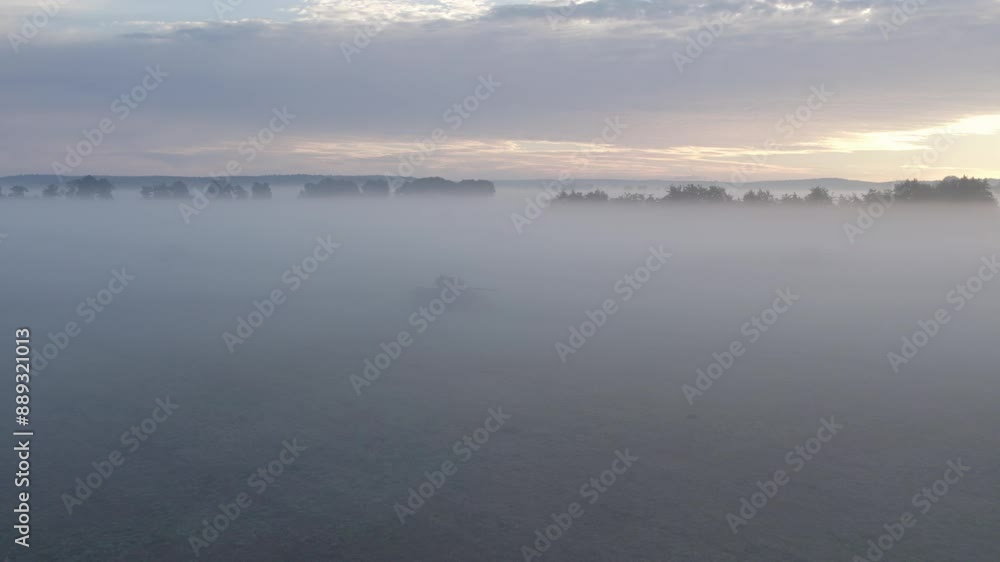 Aerial view of abandoned tanks in misty meadow at sunrise, Sogel, Lower Saxony, Germany. Aerial view of abandoned tanks in misty meadow at sunrise, Sogel, Lower Saxony, Germany.