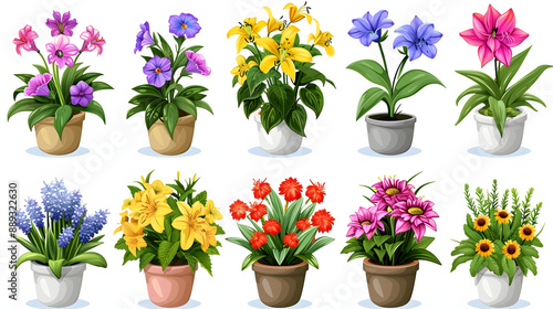 colorful flower bouquet illustration set isolated on white background, pop-art, png