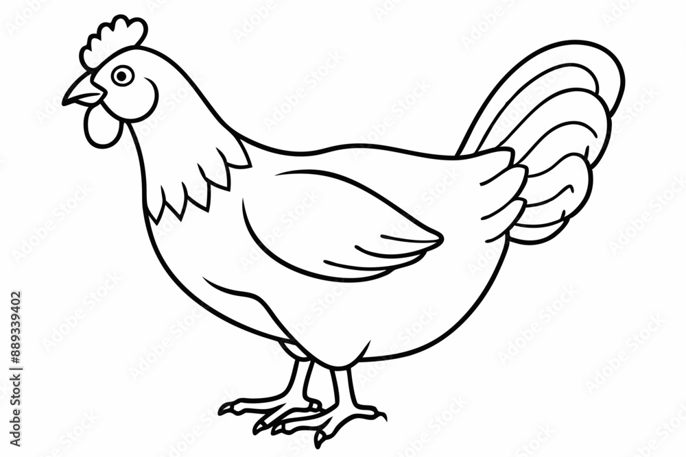 
chicken silhouette, chicken line drawing, Black silhouette of a rooster standing. Vector illustration
