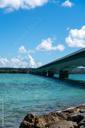 bridge over the river