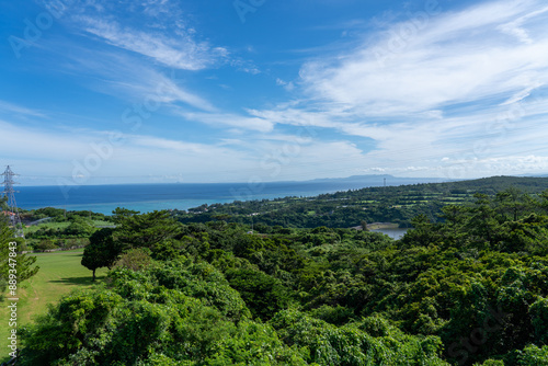 view of the city from the hill