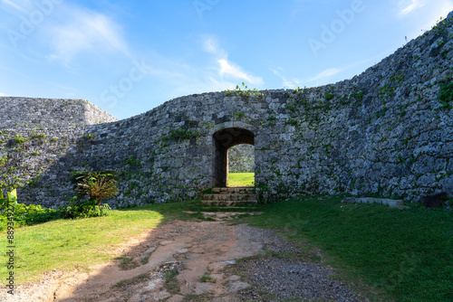 ruins of the castle