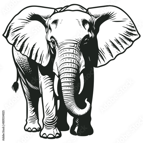 A detailed black and white elephant illustration, vector illustration. photo