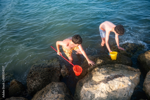 teenage boys looking for and catching crabs on the rocks, enjoying a day at the beach. photo