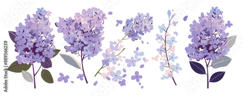 Purple lilac blossom, Vector flat minimalistic isolated illustration