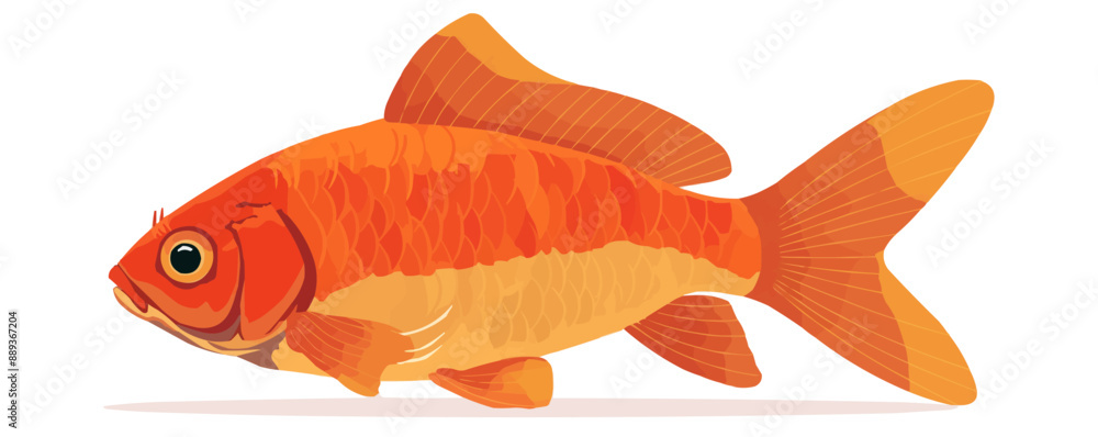 Orange goldfish, Vector flat minimalistic isolated illustration Orange goldfish, Vector flat minimalistic isolated illustration