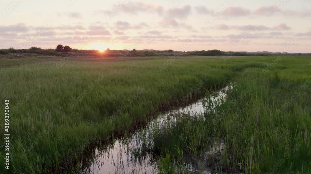 Aerial view of peaceful sunset over grassy meadow with geese swimming in ditch, Terschelling, Friesland, Netherlands. Aerial view of peaceful sunset over grassy meadow with geese swimming in ditch, Terschelling, Friesland, Netherlands.
