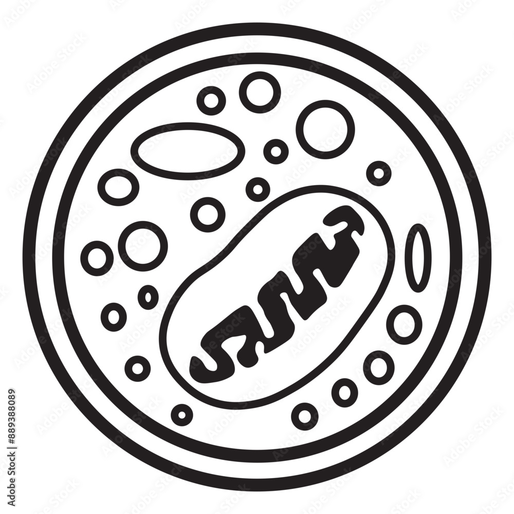 autophagosome line icon autophagosome line icon