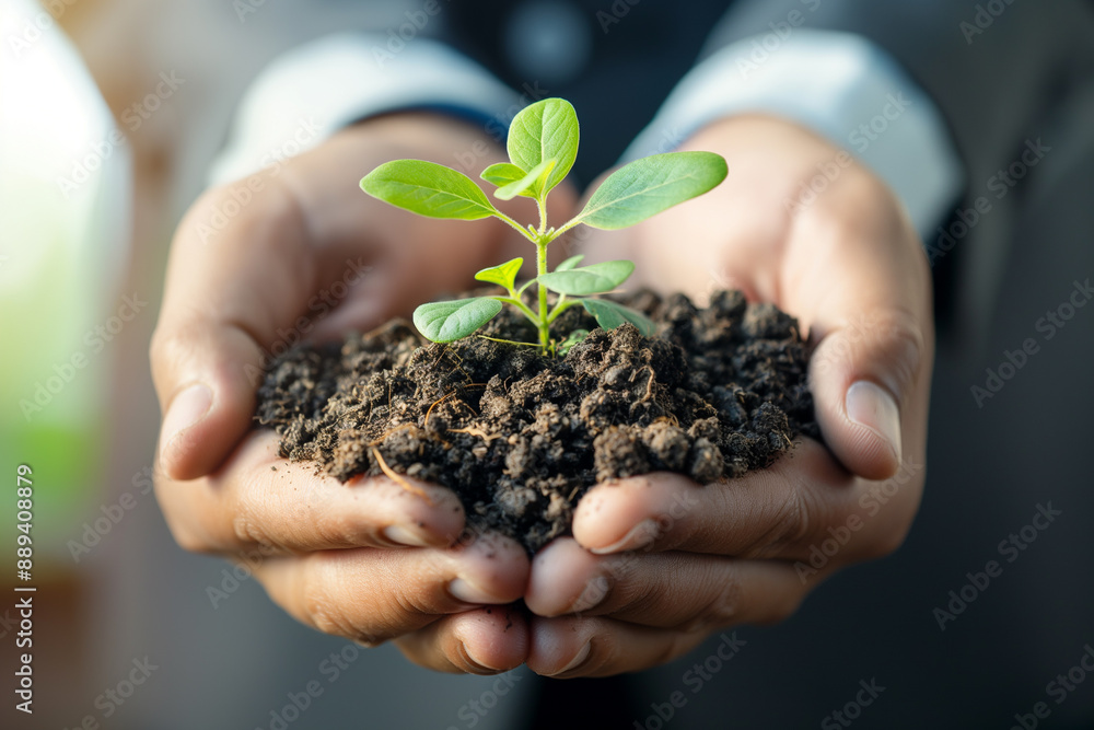 A pair of hands holding soil with green plants growing out, symbolizing growth and development in business.
A pair of hands holding soil with green plants growing out, symbolizing growth and development in business.