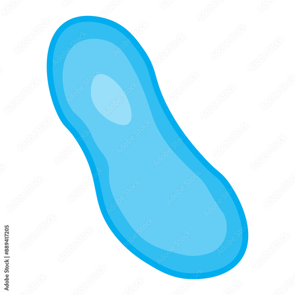 vacuole vacuole