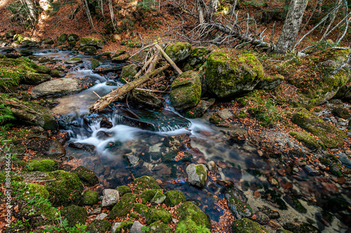 Creek and foliage on the autumn