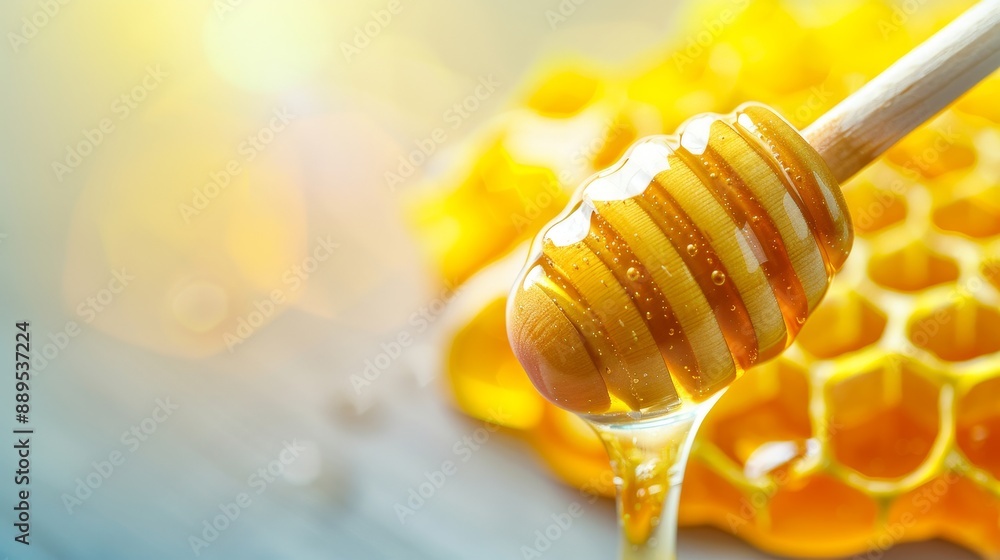 Two bees are on a yellow surface Two bees are on a yellow surface