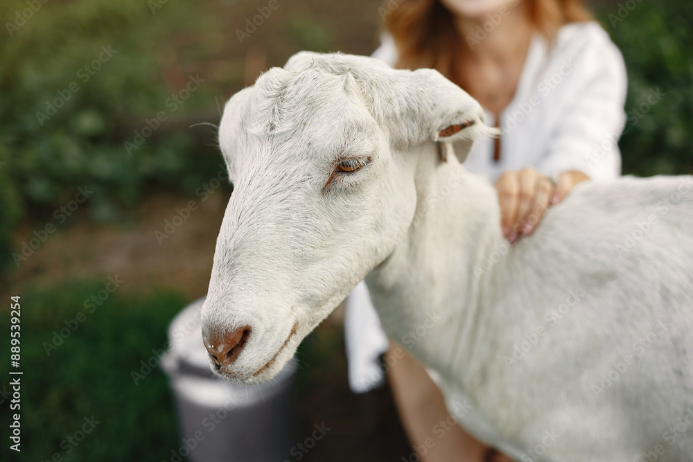 Putdoor portrait of young happy woman with goat Putdoor portrait of young happy woman with goat