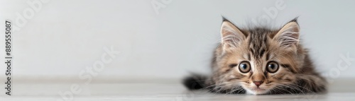 Adorable tabby kitten with curious eyes lying on the floor, ready to pounce, against a soft neutral background.