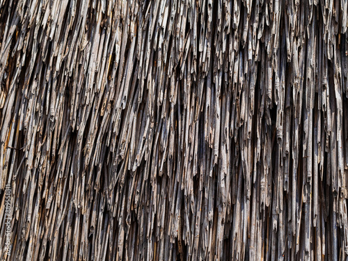 Fotografi Thatched roof close-up - texture