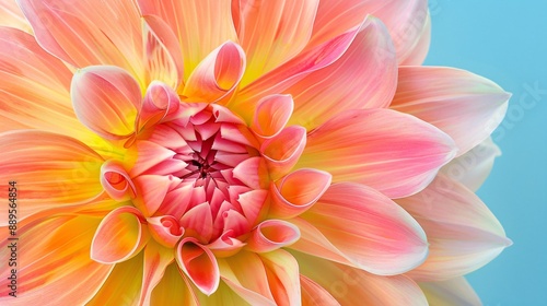 On background, a flower in close-up, spectacularly adorable. A natural greeting, it's a wonderful natural wonder.