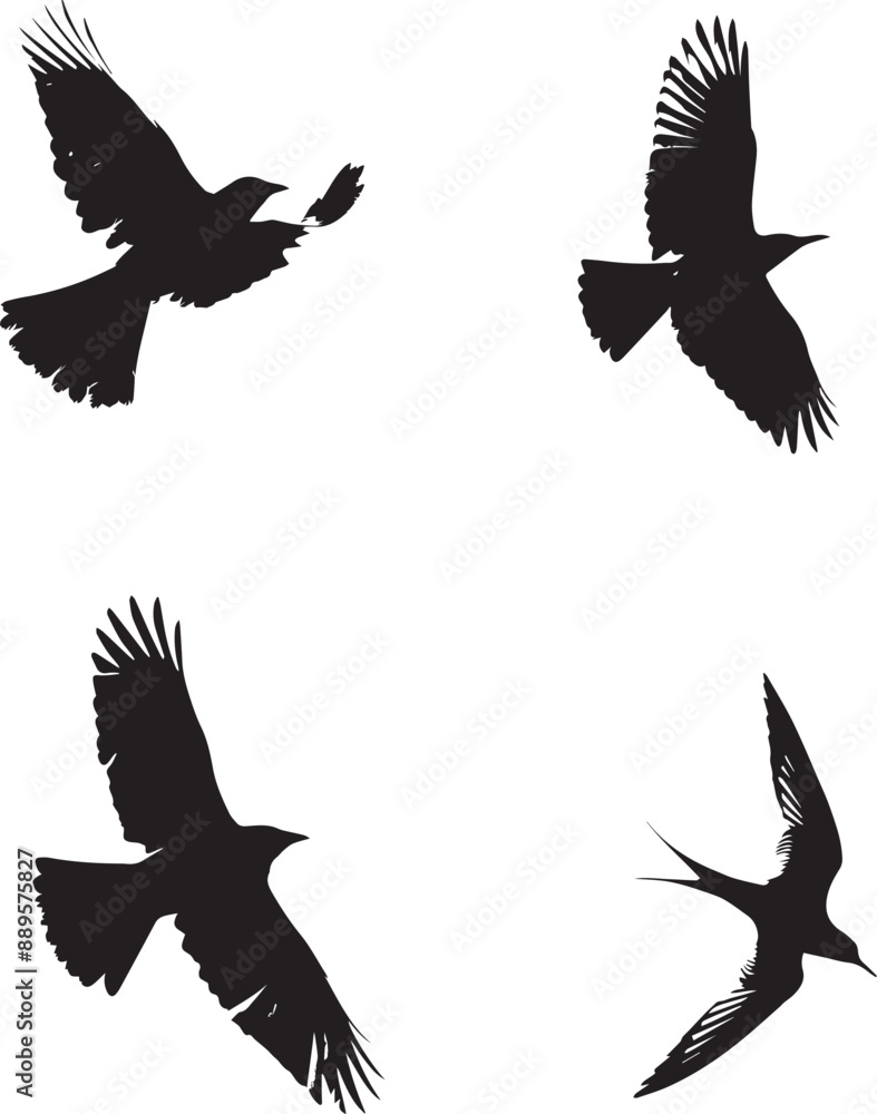 Obraz premium Bird set icons logo type silhouette