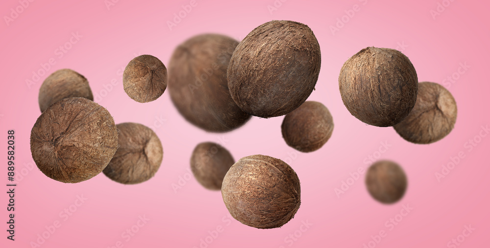 Many coconuts in air on pink background, banner design Many coconuts in air on pink background, banner design