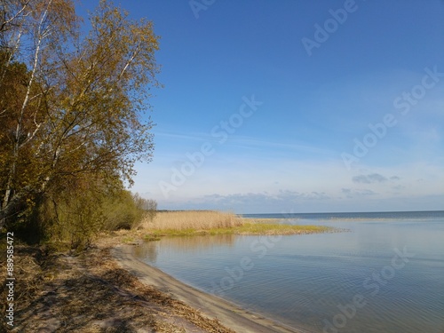 calm and water surface in the Curonian Lagoon