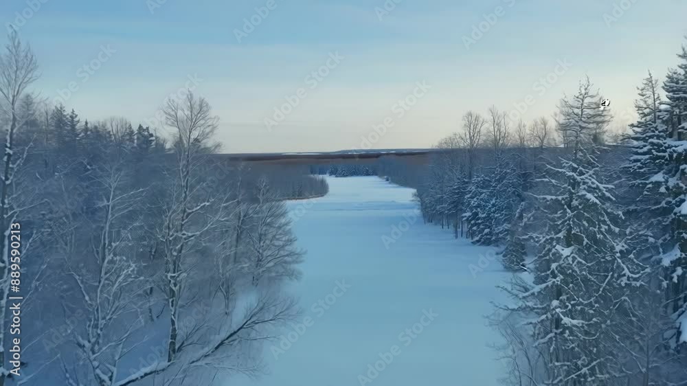 The barren trees surrounding the frozen tundra lakes appear frozen in time as if ped in the perpetual winter of the tundra.