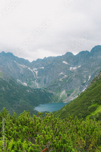 Majestic Mountain Landscapes: Scenic Views of Nature's Beauty