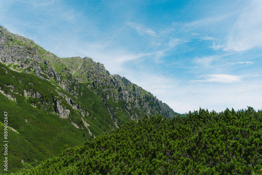 Naklejka premium Majestic Mountain Landscapes: Scenic Views of Nature's Beauty