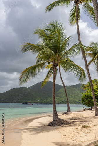 Bay view in Sainte-Anne, Martinique, France