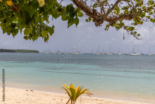 Bay view in Sainte-Anne, Martinique, France