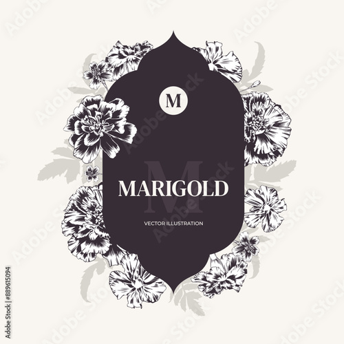 Marigolds, vintage card, garden flowers. Vector illustration. Flower arrangement made of tagetes with a frame in the shape of an eastern window. Banner, invitation, save the date, labels, cosmetics