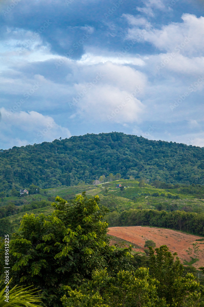 Fototapeta premium Sunset over the mountains with golden sky and silhouetted trees.
