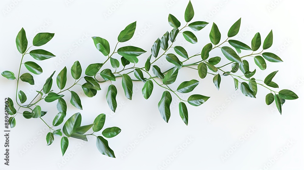 Branch with Lush Green Leaves Branch with Lush Green Leaves