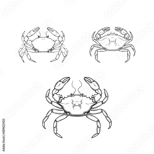 Set of hand drawn crabs outline stroke artwork black and white vector illustration head and full body