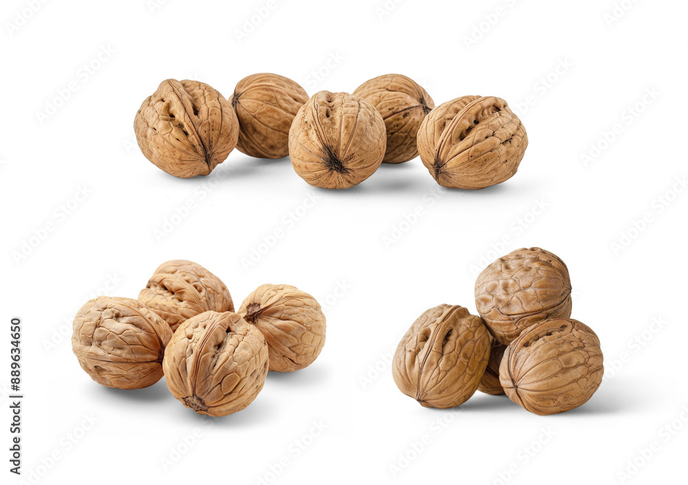 Whole walnuts in shell on white background Whole walnuts in shell on white background