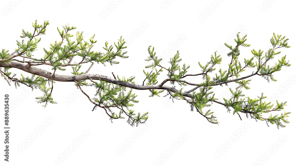 A Lush Branch of Green A Lush Branch of Green
