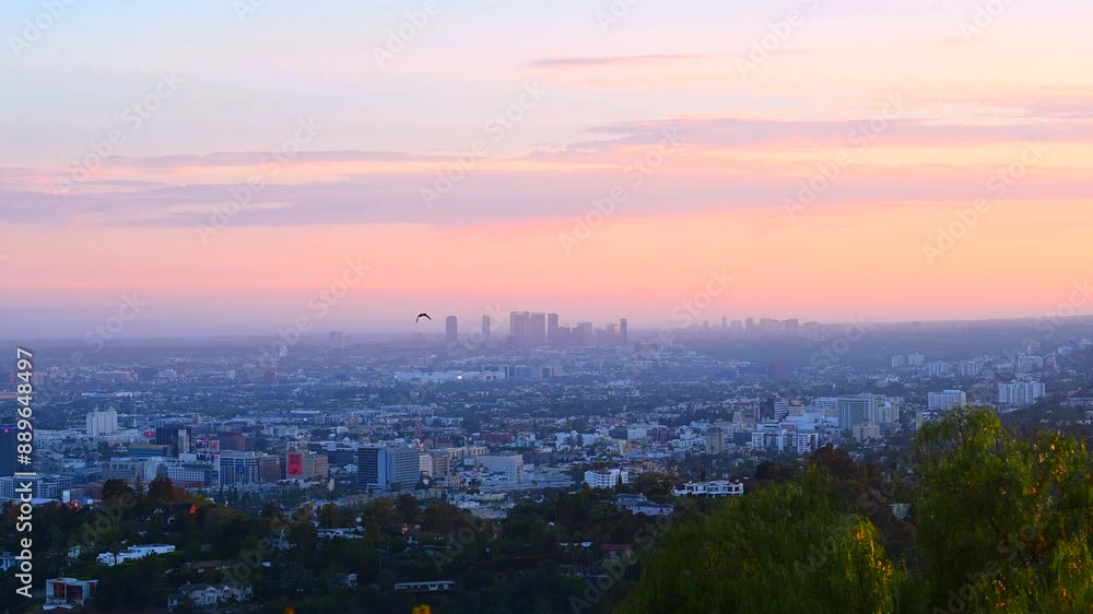View of Los Angeles Downtown. Bird flys by View of Los Angeles Downtown. Bird flys by