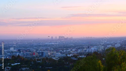 View of Los Angeles Downtown. Bird flys by