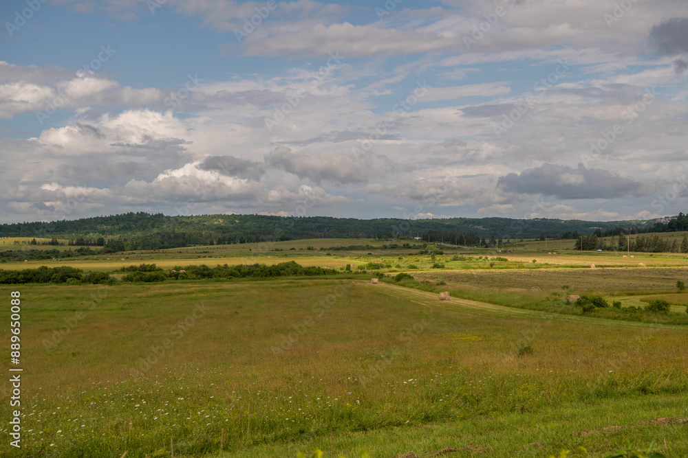 landscape with grass and blue sky landscape with grass and blue sky