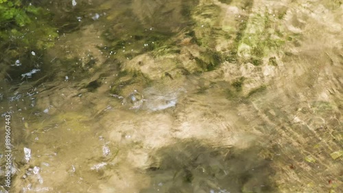 Adda, river, flowing water, Crespi d'Adda, Vaprio d'Adda, Calolziocorte, Calusco d'Adda, Lecco, mountain, clear water, dramatic nature, stream, brook, lush, fresh, beautiful, forest, green, ecology photo