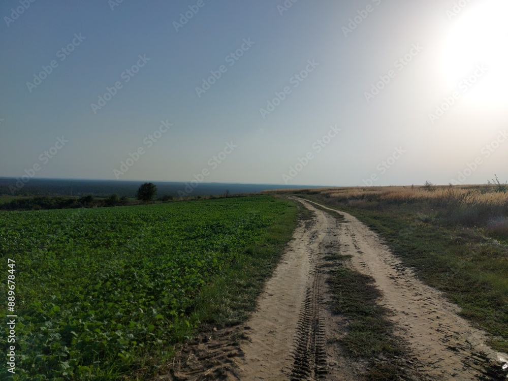 Naklejka premium Polna droga i niebo
