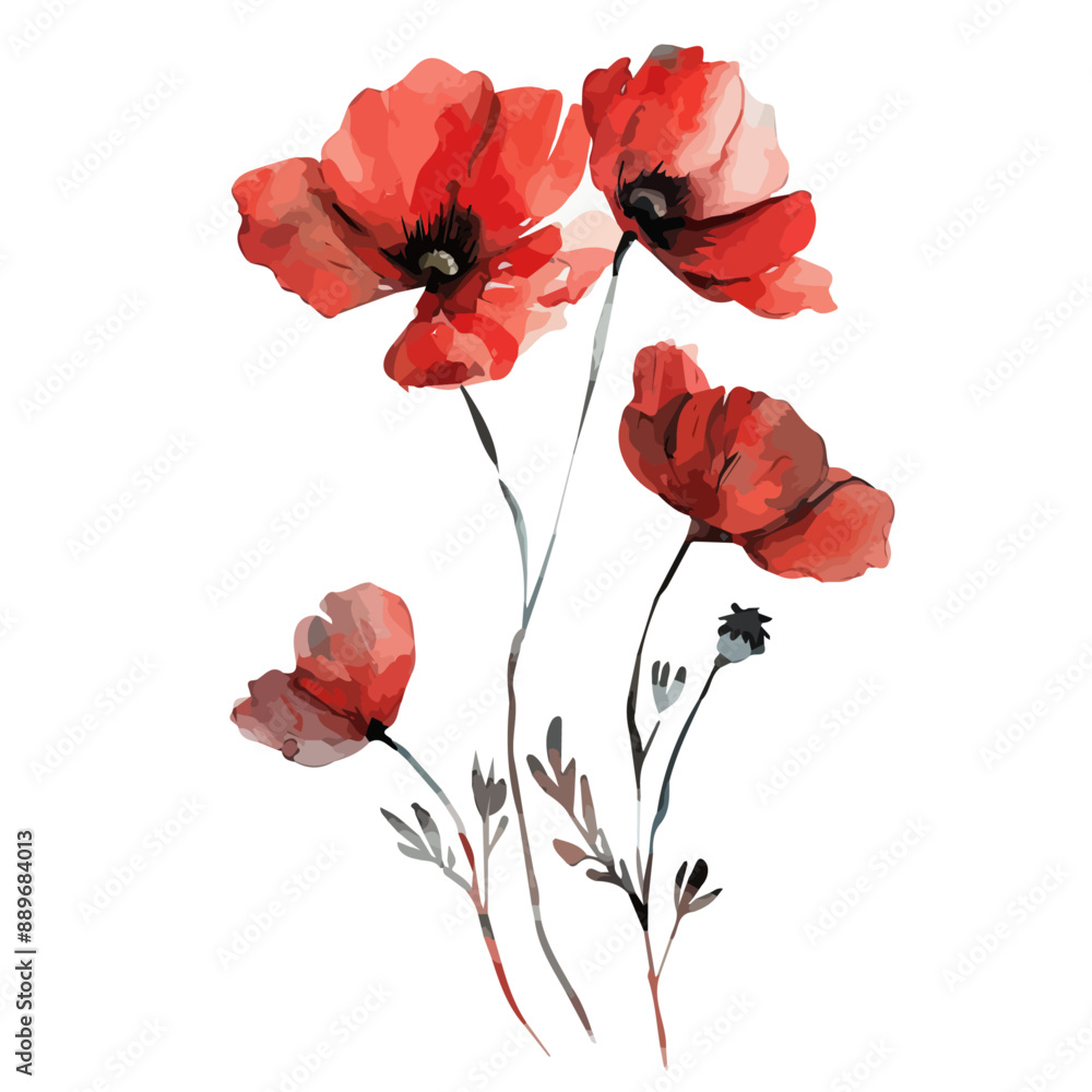 Obraz premium Watercolor painting of Poppy plant, isolated on a white background, Poppy flower vector