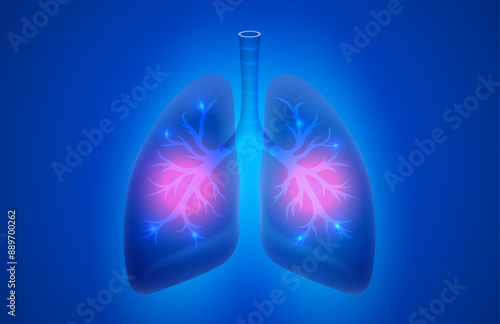 human lungs, respiratory organ, diagnostic symbol. Vector