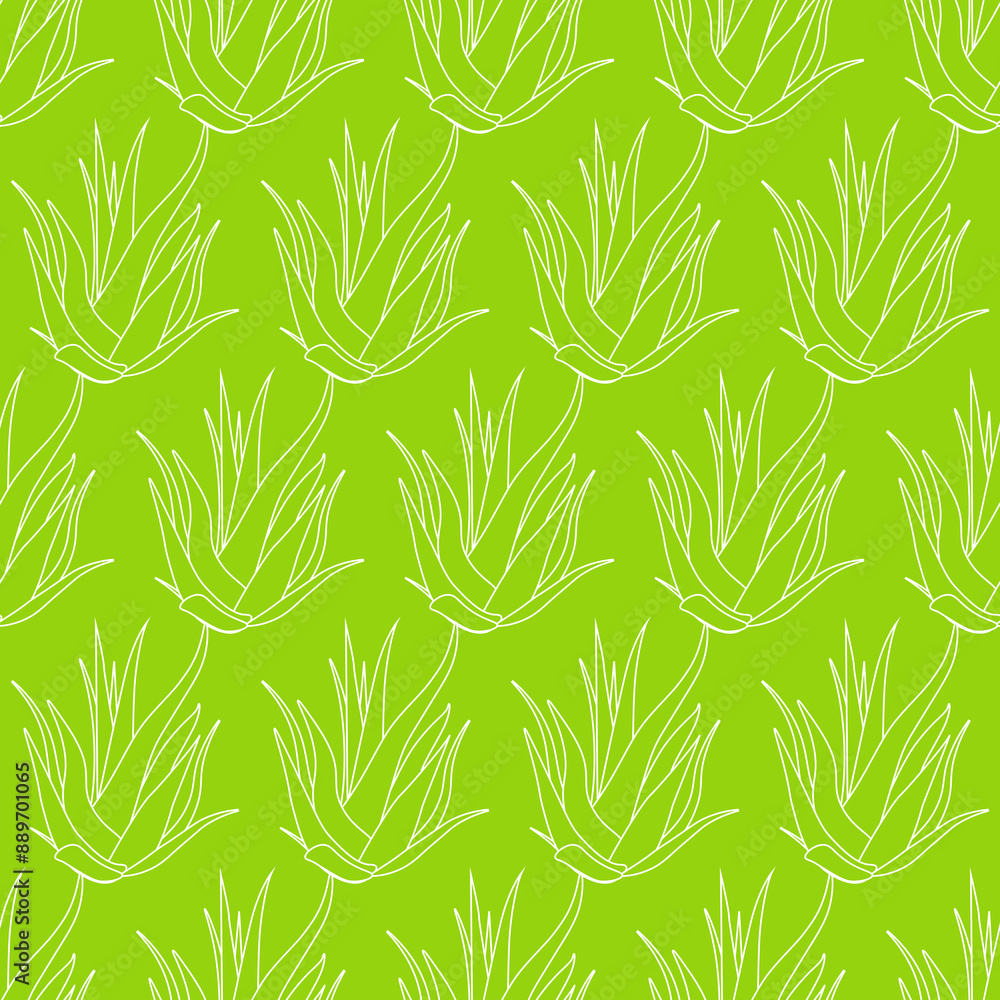 Fototapeta premium Seamless Green aloe vera pattern