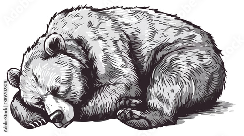 Hand drawn sleeping bear. Vector illustration Handdrawn
