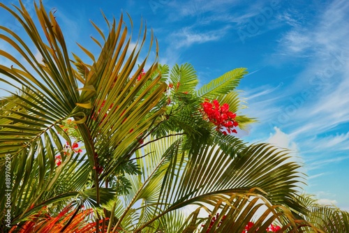 fleur tropicale